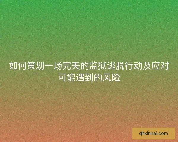 如何策划一场完美的监狱逃脱行动及应对可能遇到的风险