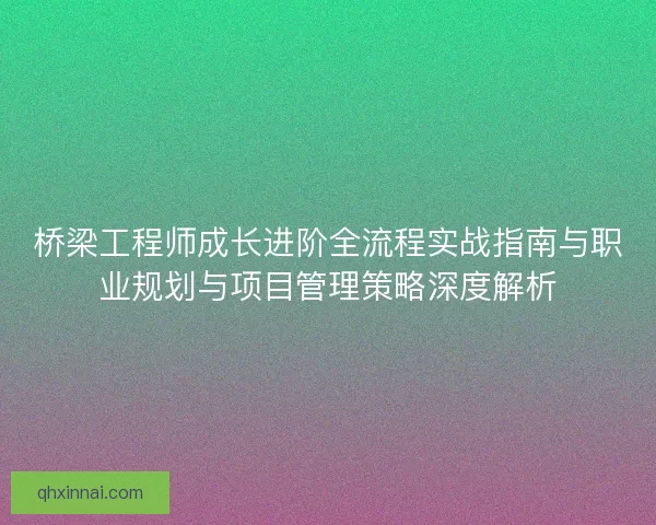 桥梁工程师成长进阶全流程实战指南与职业规划与项目管理策略深度解析