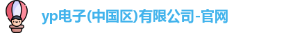 yp电子